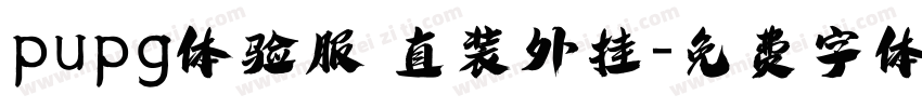 pupg体验服 直装外挂字体转换